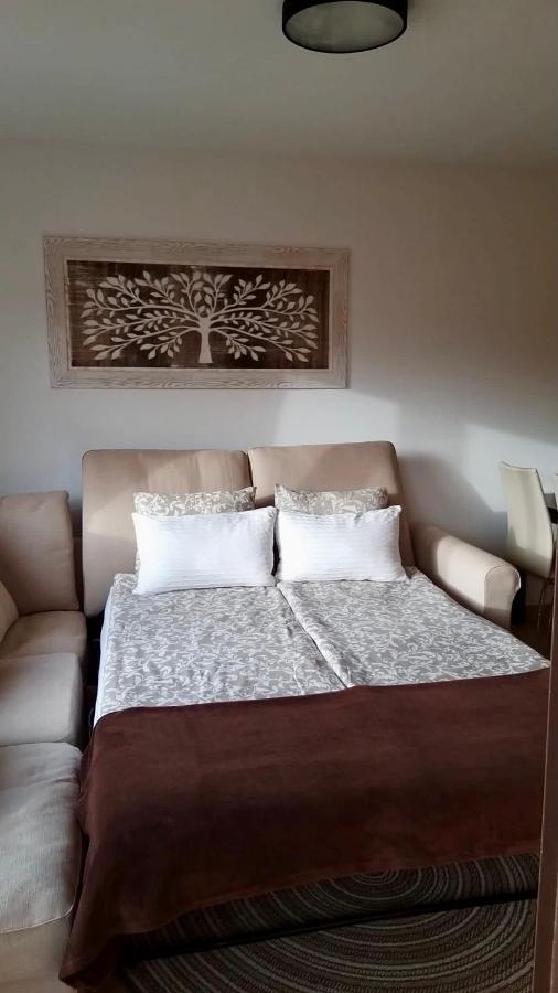 פאלם-מאר El Mocan Luxury Apartment מראה חיצוני תמונה