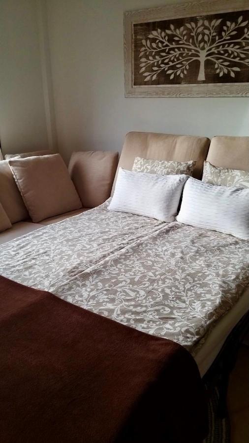 פאלם-מאר El Mocan Luxury Apartment מראה חיצוני תמונה
