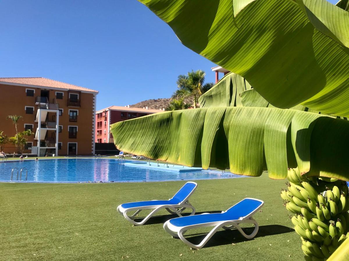 פאלם-מאר El Mocan Luxury Apartment מראה חיצוני תמונה
